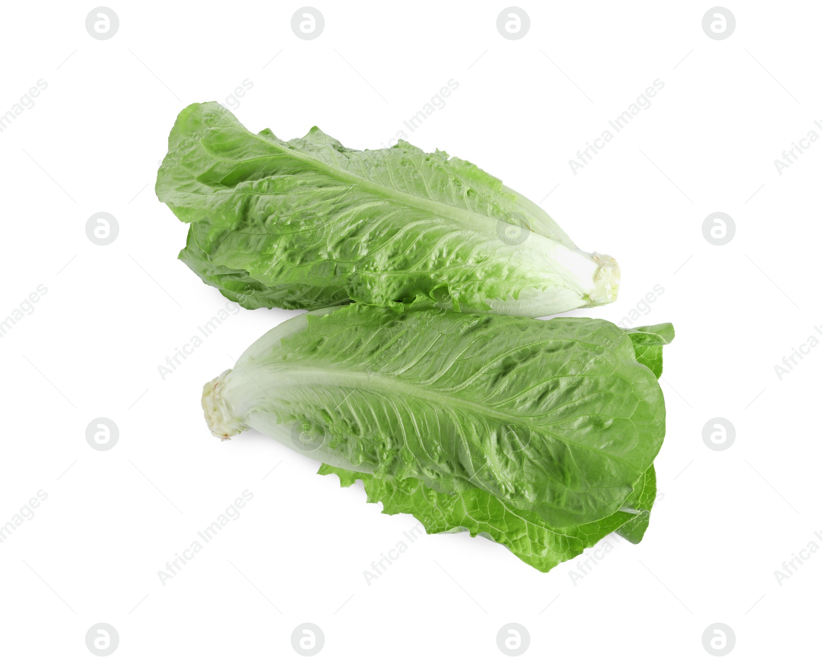 Photo of Fresh green romaine lettuces isolated on white, top view