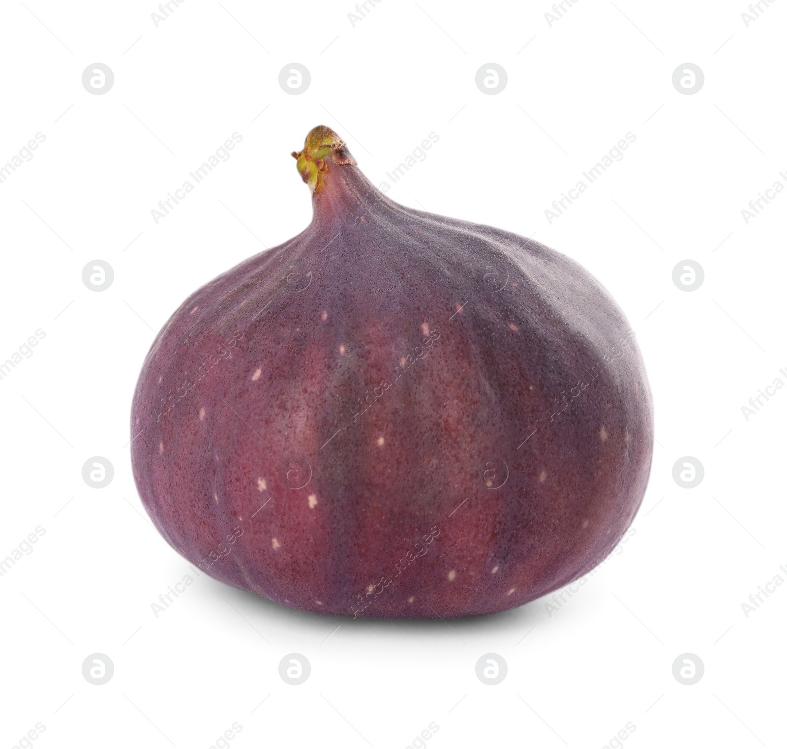 Photo of Whole tasty fresh fig isolated on white