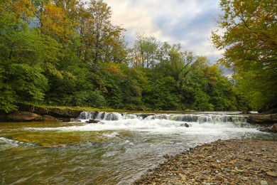 Photo of Picturesque view of beautiful river flowing near forest