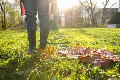 Photo of Woman raking fall leaves in park, closeup. Space for text