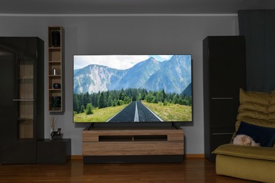 Image of Tv with nature show on screen in cozy room