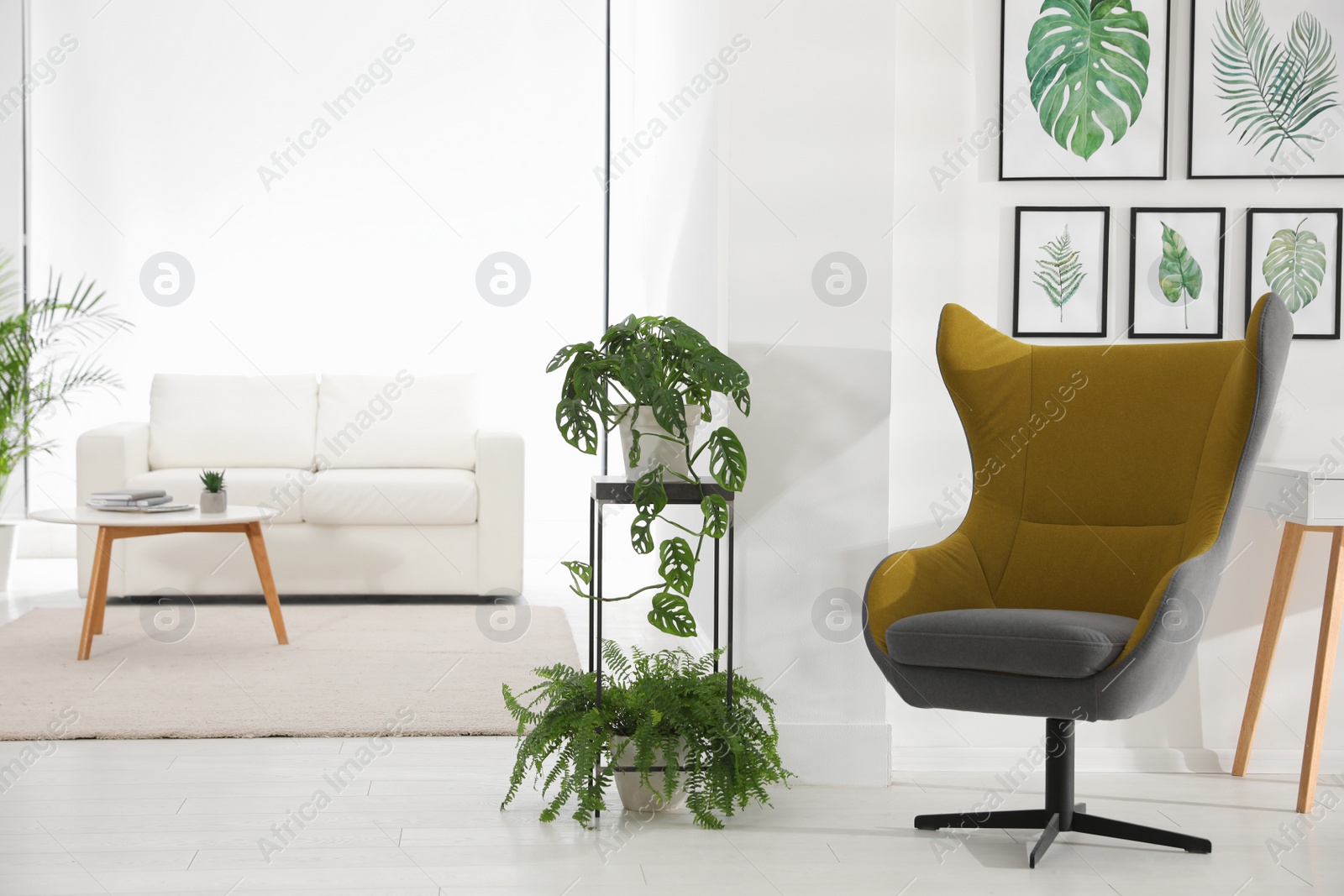 Photo of Stylish room interior with comfortable armchair and paintings of tropical leaves