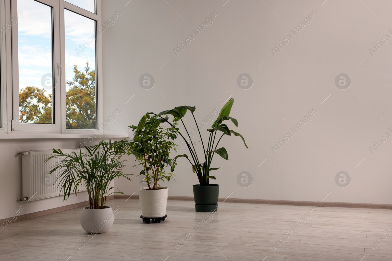 Photo of Empty renovated room with potted houseplants and windows