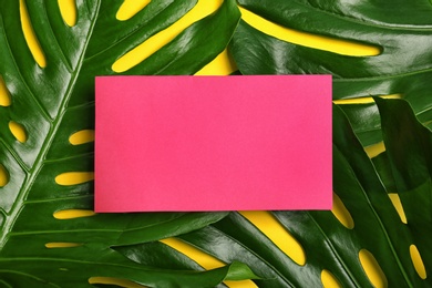 Flat lay composition with tropical monstera leaves on color background