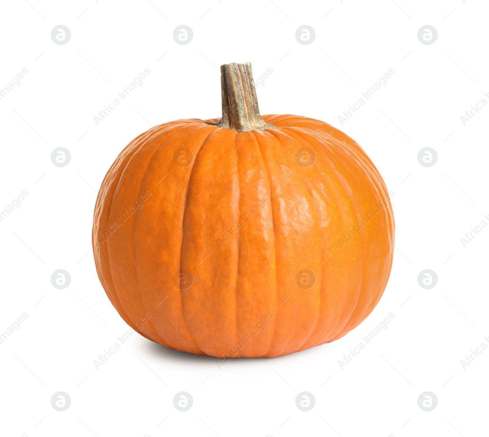 Photo of Fresh ripe pumpkin isolated on white. Organic plant