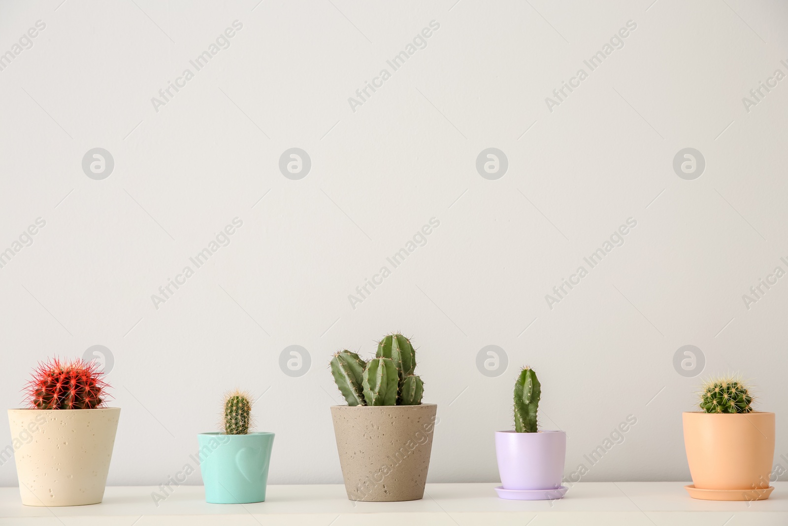 Photo of Beautiful cacti in flowerpots on white table indoors