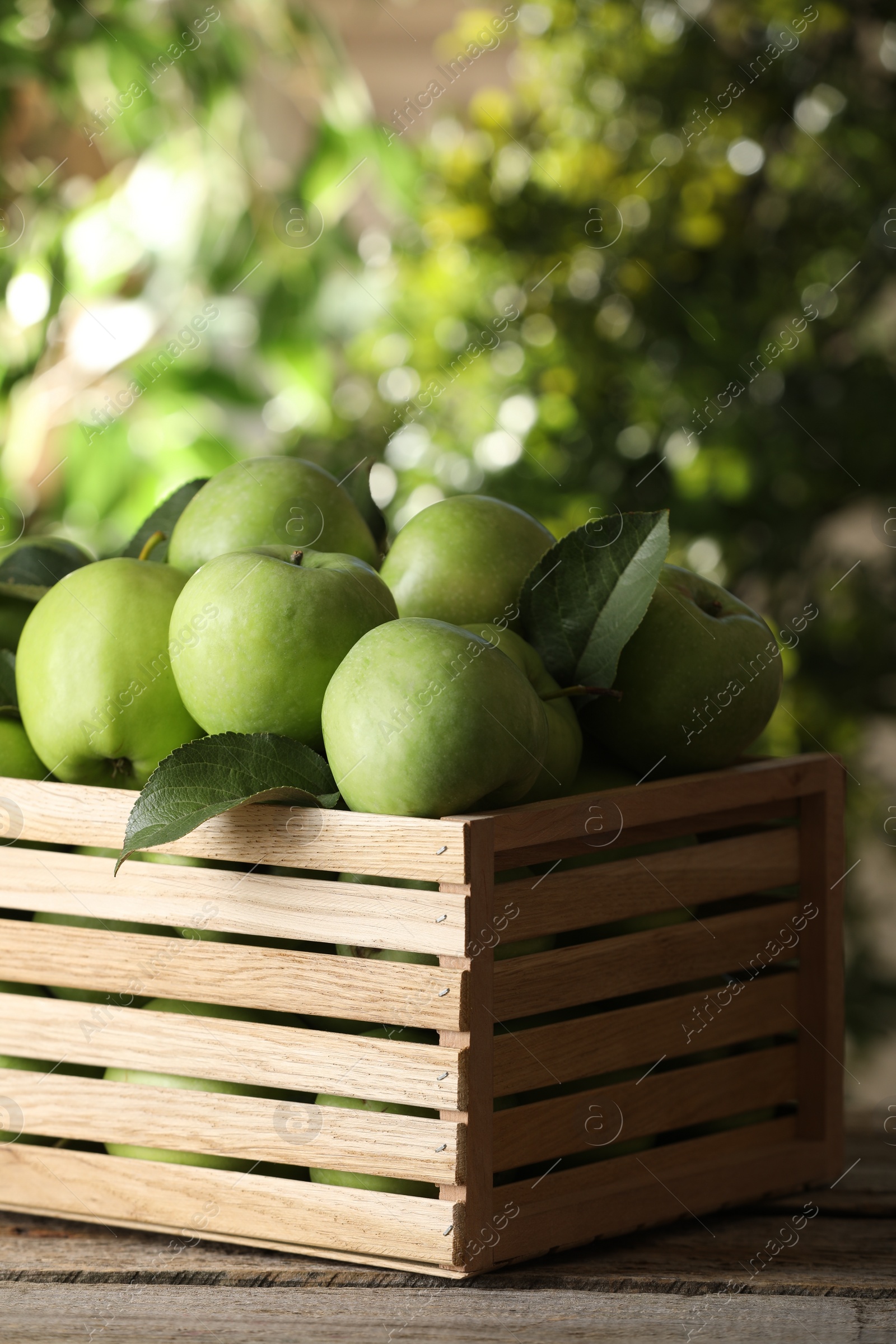 Photo of Crate full of ripe green apples and leaves on wooden table outdoors