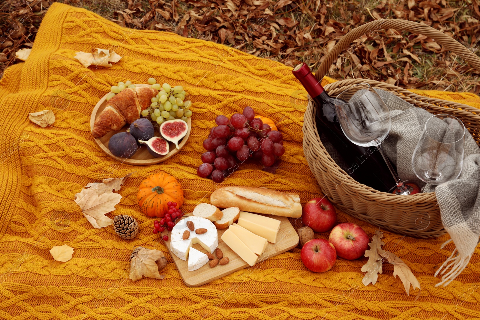 Photo of Knitted plaid with picnic basket, wine and snacks outdoors on autumn day, above view