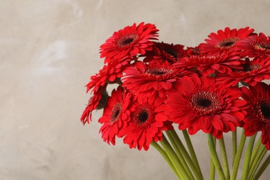 Photo of Bouquet of beautiful red gerbera flowers on beige background. Space for text