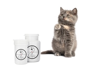 Image of Deworming. Cute fluffy kitten and medical bottles with anthelmintic drugs on white background