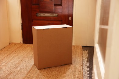 Delivery service. Cardboard on rug near wooden door indoors