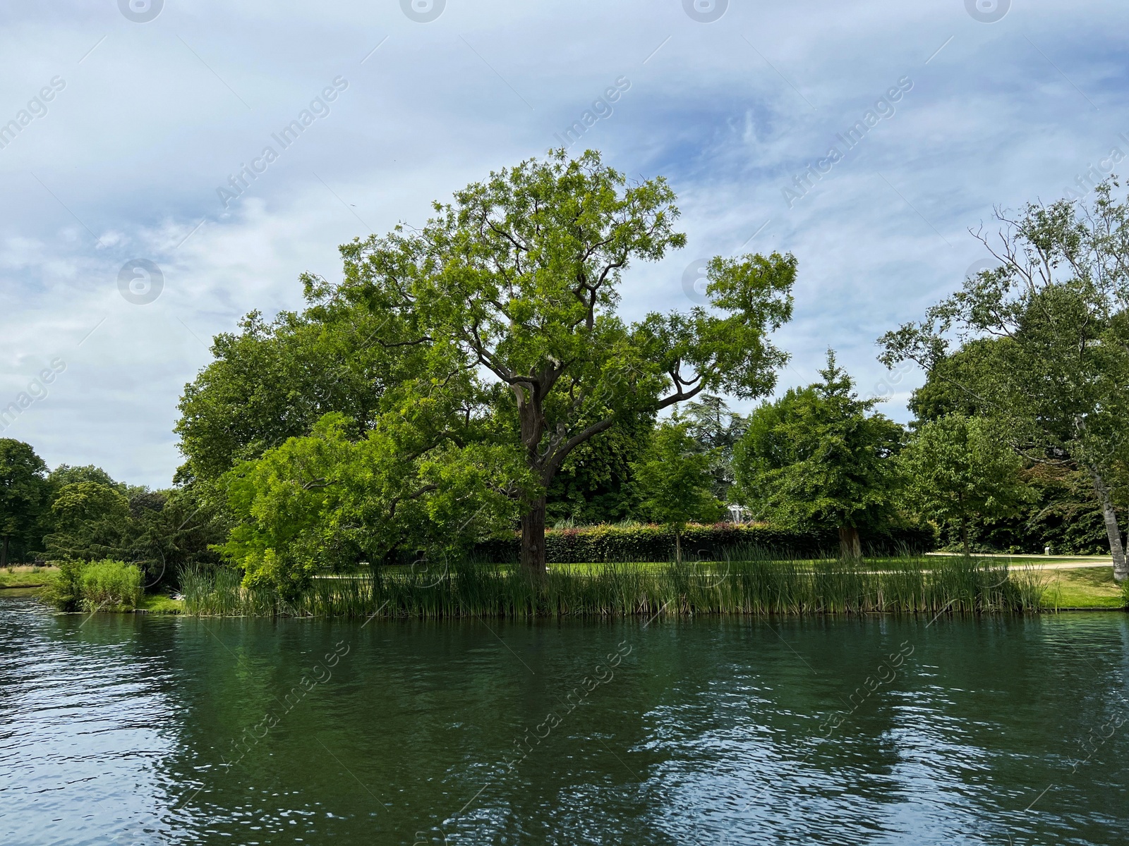 Photo of Beautiful landscape with canal on sunny day