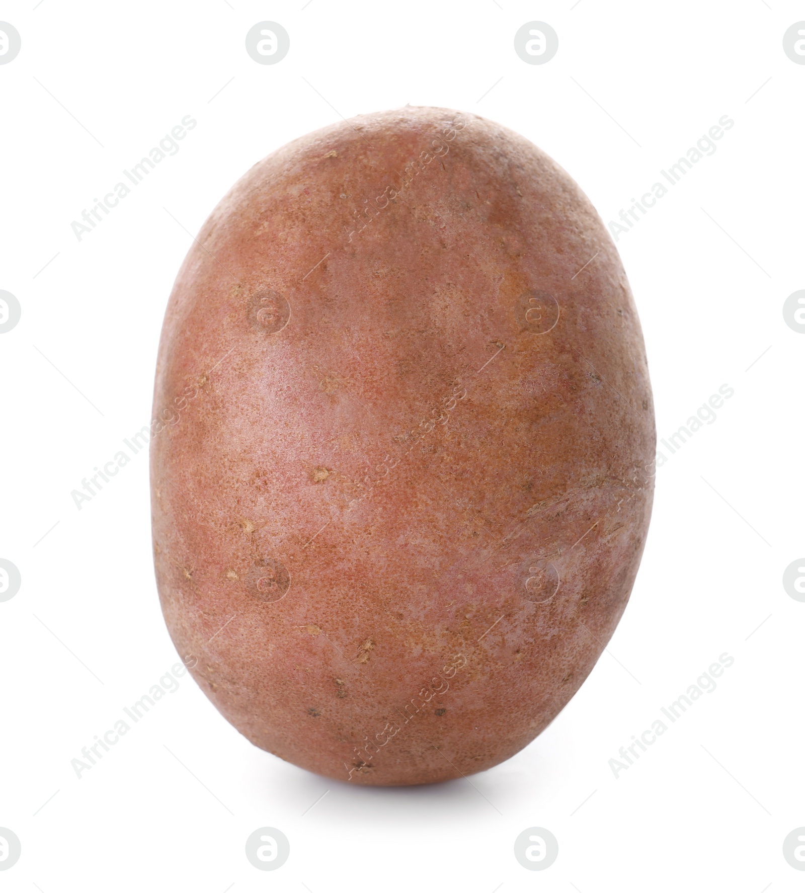 Photo of Fresh ripe organic potato on white background