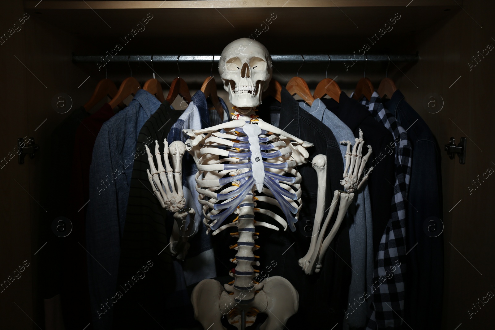 Photo of Artificial human skeleton model among clothes in wardrobe