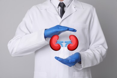 Closeup view of doctor and illustration of kidneys on light grey background