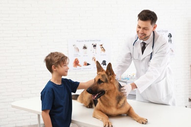 Photo of Boy with his dog visiting veterinarian in clinic