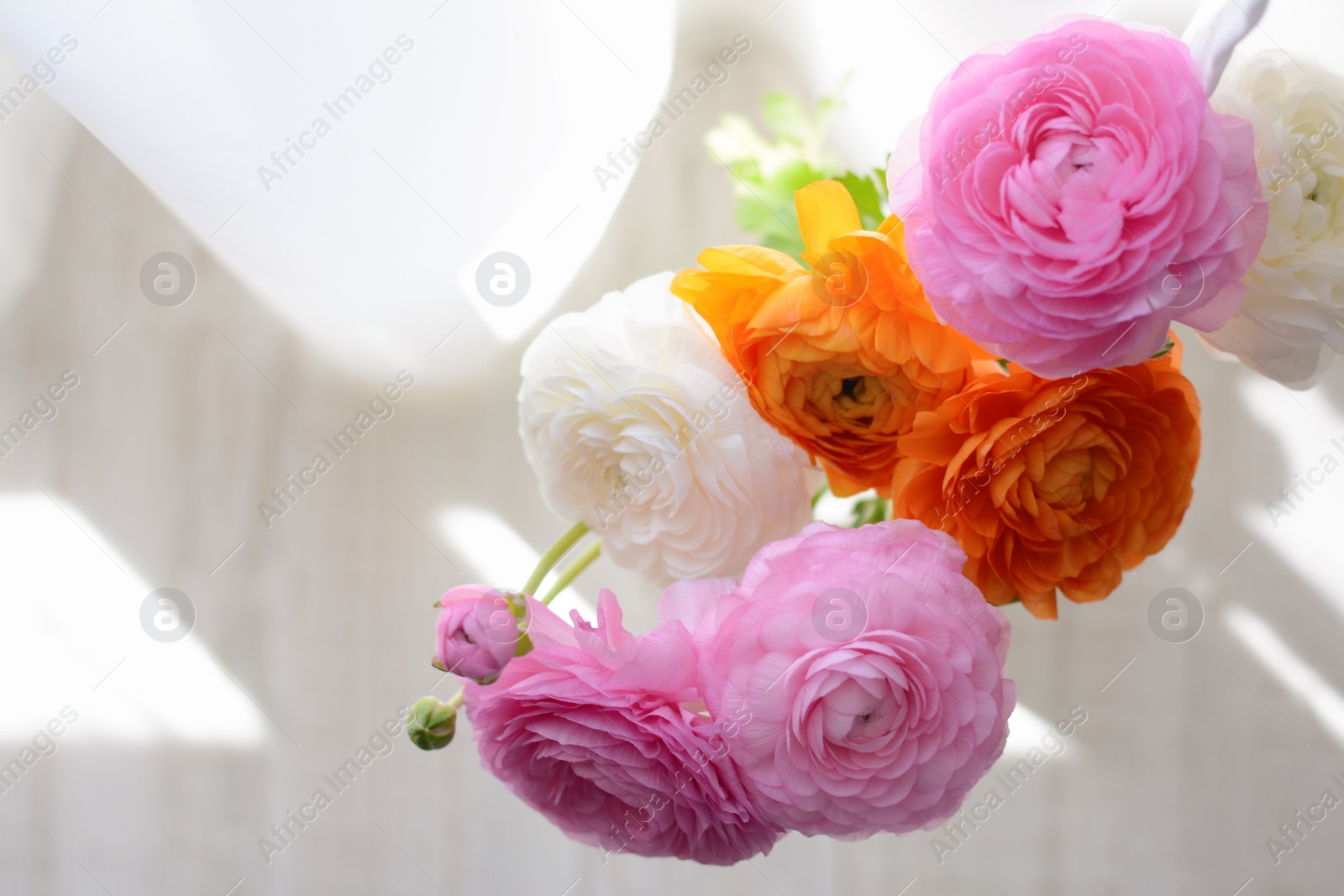 Photo of Bouquet of beautiful ranunculus flowers near window on floor, top view. Space for text