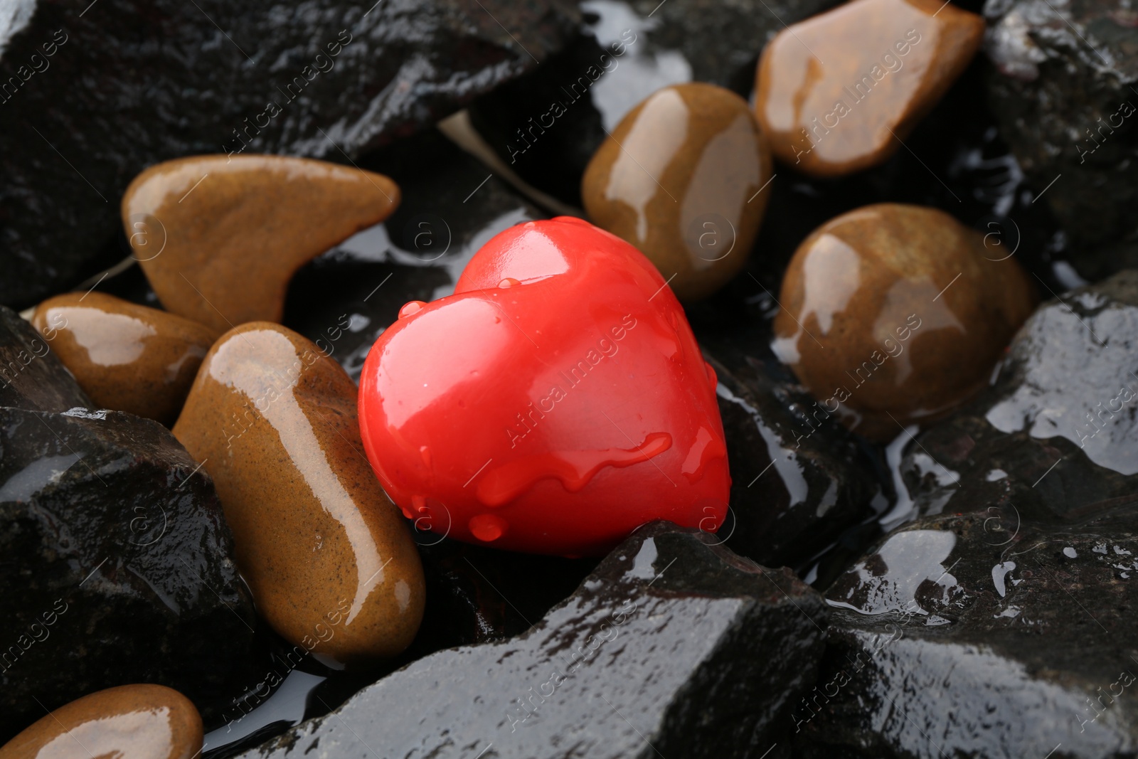 Photo of Red decorative heart on stones and water, closeup
