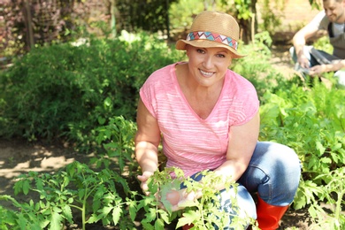 Photo of Woman working in garden on sunny day