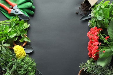 Flat lay composition with gardening tools and plants on black background