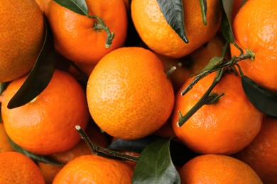 Fresh ripe tangerines and leaves as background, top view