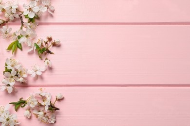 Photo of Beautiful spring flowers as border on pink wooden background, flat lay. Space for text