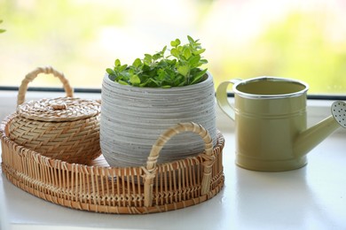 Photo of Aromatic potted oregano and stylish watering can on window sill indoors