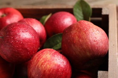 Photo of Ripe red apples with water drops and green leaves in crate, closeup