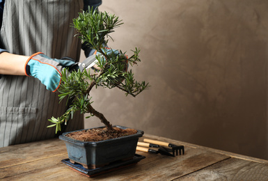 Woman trimming Japanese bonsai plant at wooden table, closeup with space for text. Creating zen atmosphere at home