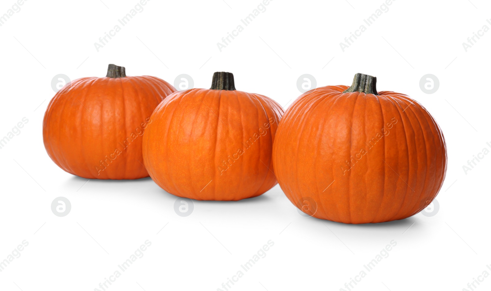 Photo of Ripe orange pumpkins isolated on white. Halloween decor