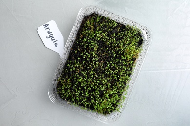 Photo of Young sprouts in container and card with word Arugula on light table, flat lay