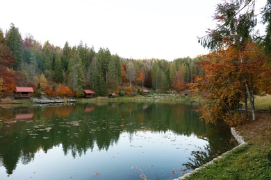 Beautiful landscape with forest and houses near lake. Camping season