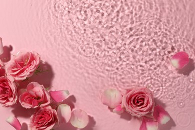 Photo of Beautiful roses and petals in water on pink background, top view. Space for text