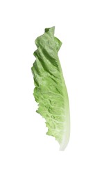 Photo of Fresh leaf of green romaine lettuce isolated on white