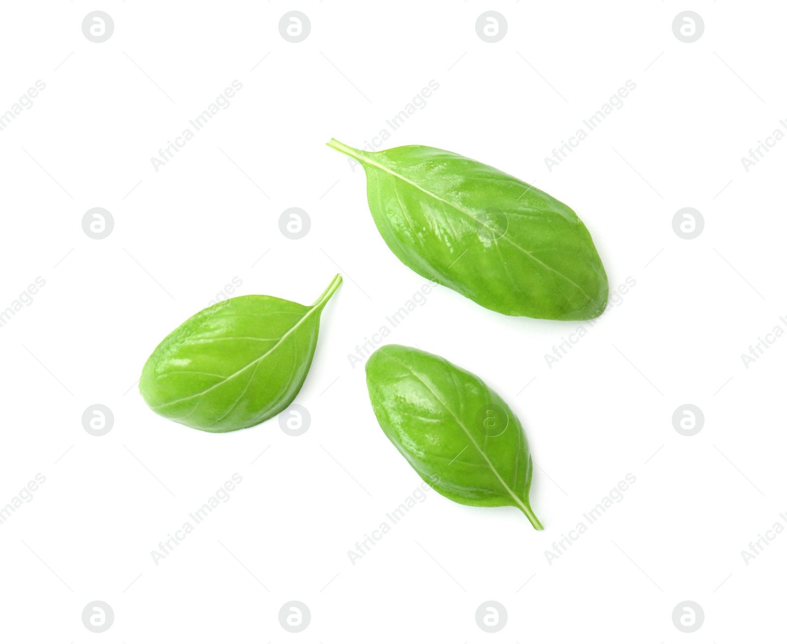 Photo of Fresh green basil leaves on white background, top view