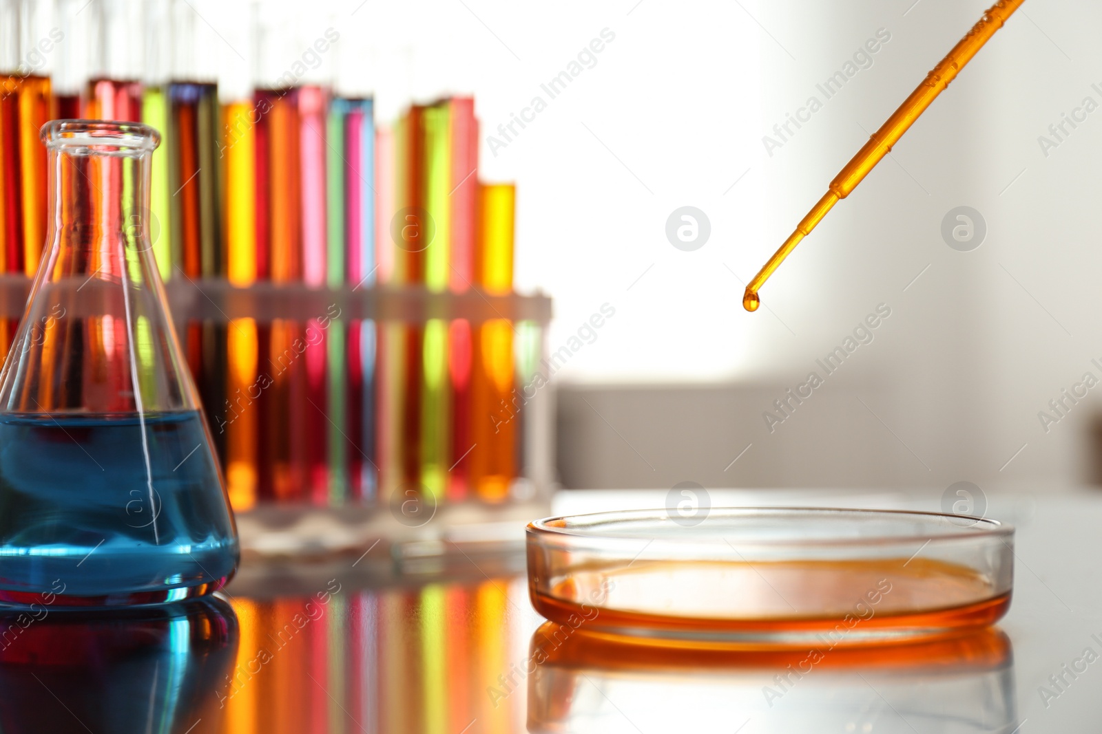 Photo of Dripping color liquid into Petri dish on table. Solution chemistry