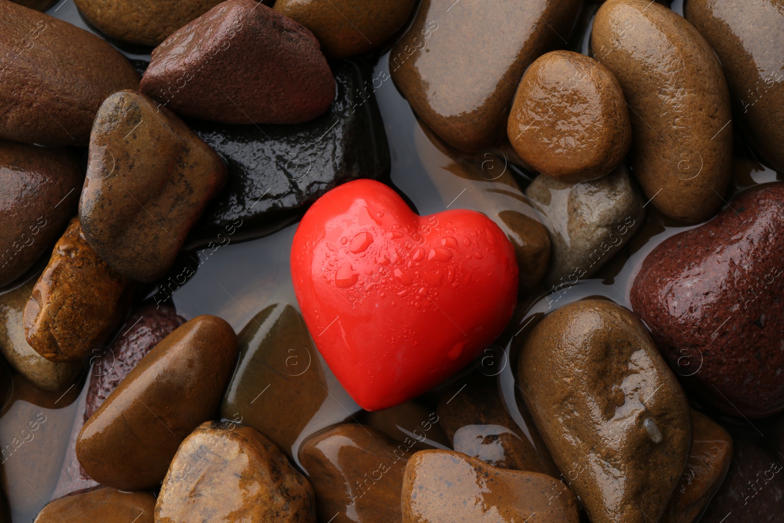 Photo of Red decorative heart on stones and water, top view