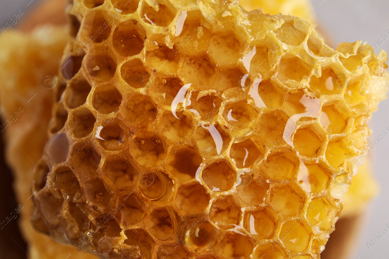 Photo of Closeup view of delicious sweet honeycomb on table