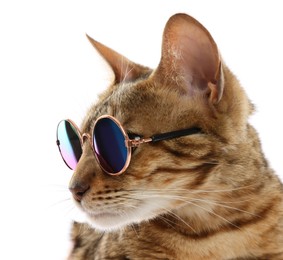Photo of Cute Bengal cat in sunglasses on white background, closeup