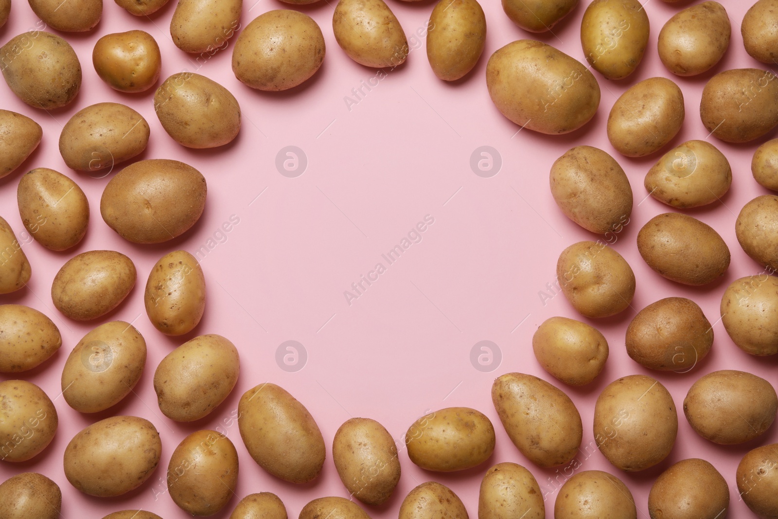 Photo of Frame made of raw fresh organic potatoes on pink background, flat lay. Space for text