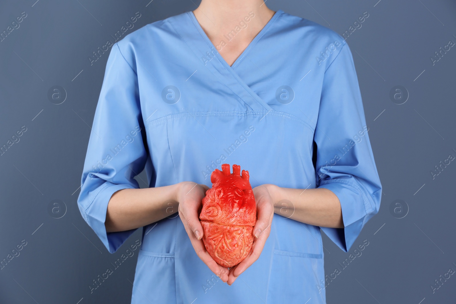 Photo of Doctor holding model of heart on color background. Prevent heart attack