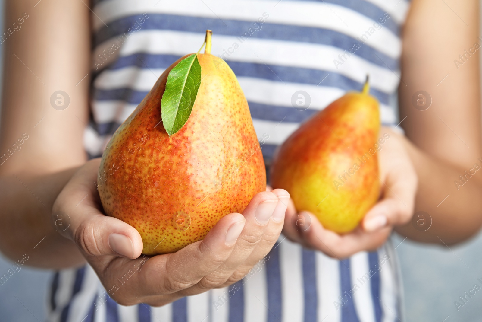 Photo of Woman holding ripe juicy pears on blue background, closeup