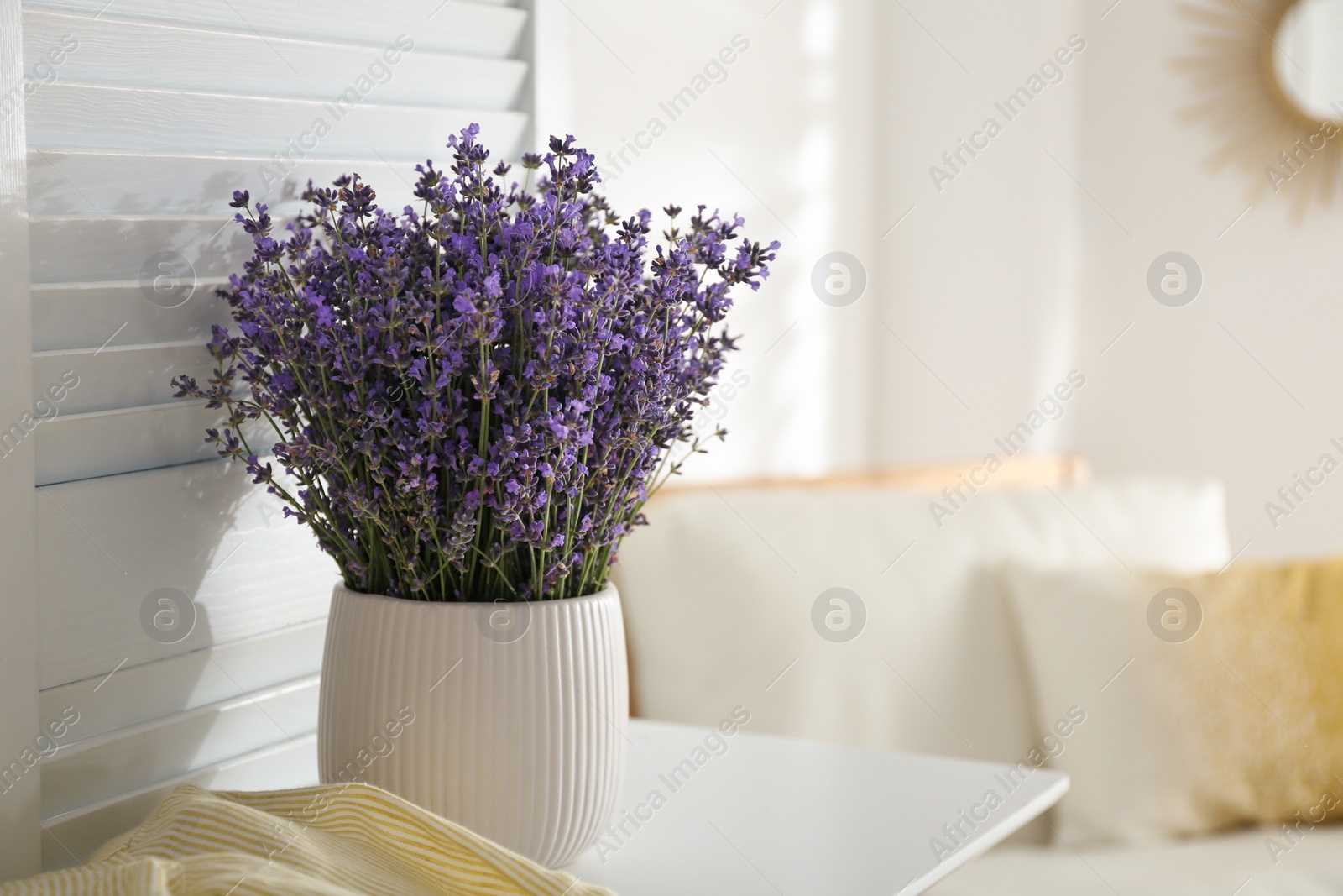Photo of Beautiful lavender flowers on white table indoors. Space for text