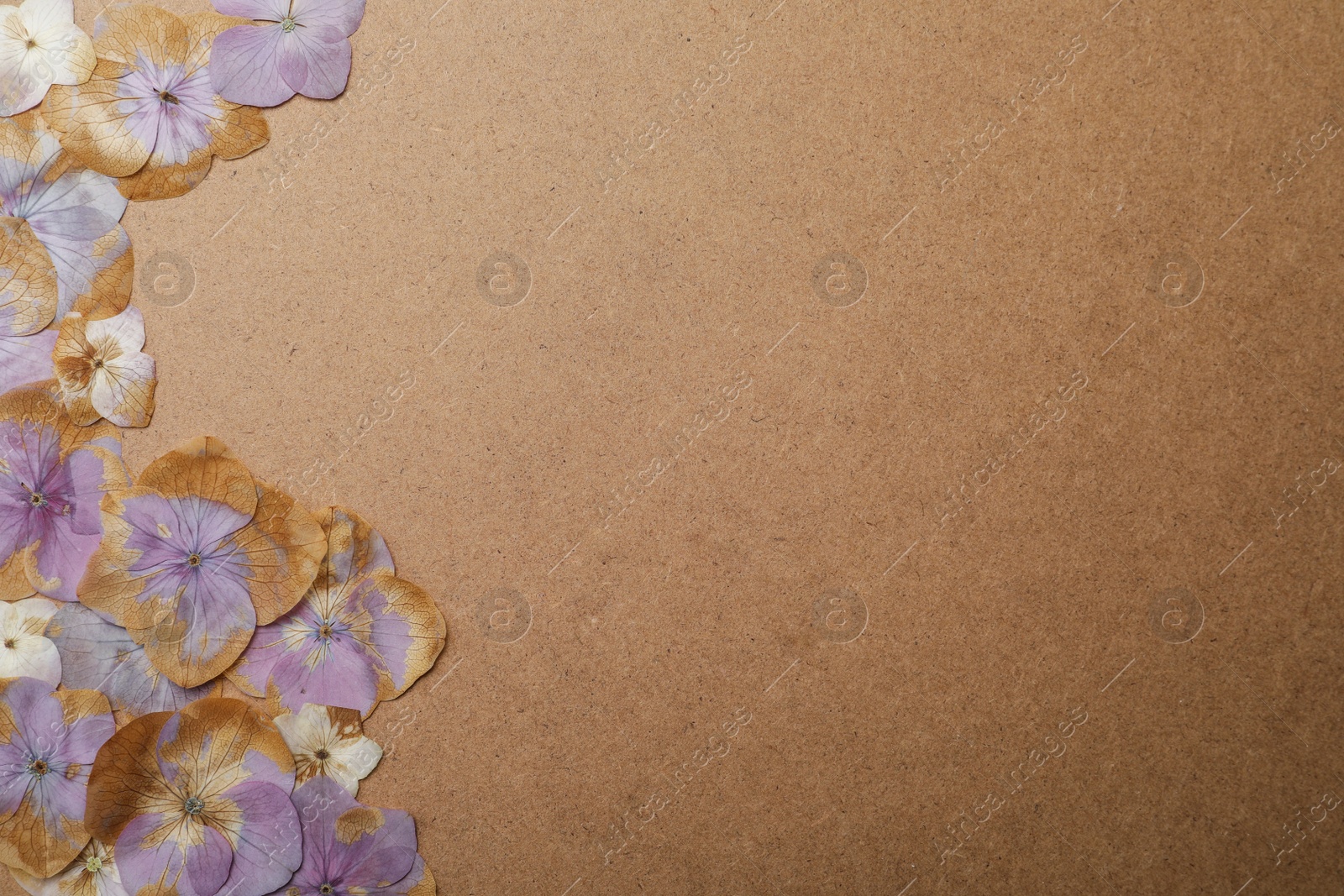 Photo of Pressed dried hydrangea flowers on craft paper, flat lay with space for text. Beautiful herbarium