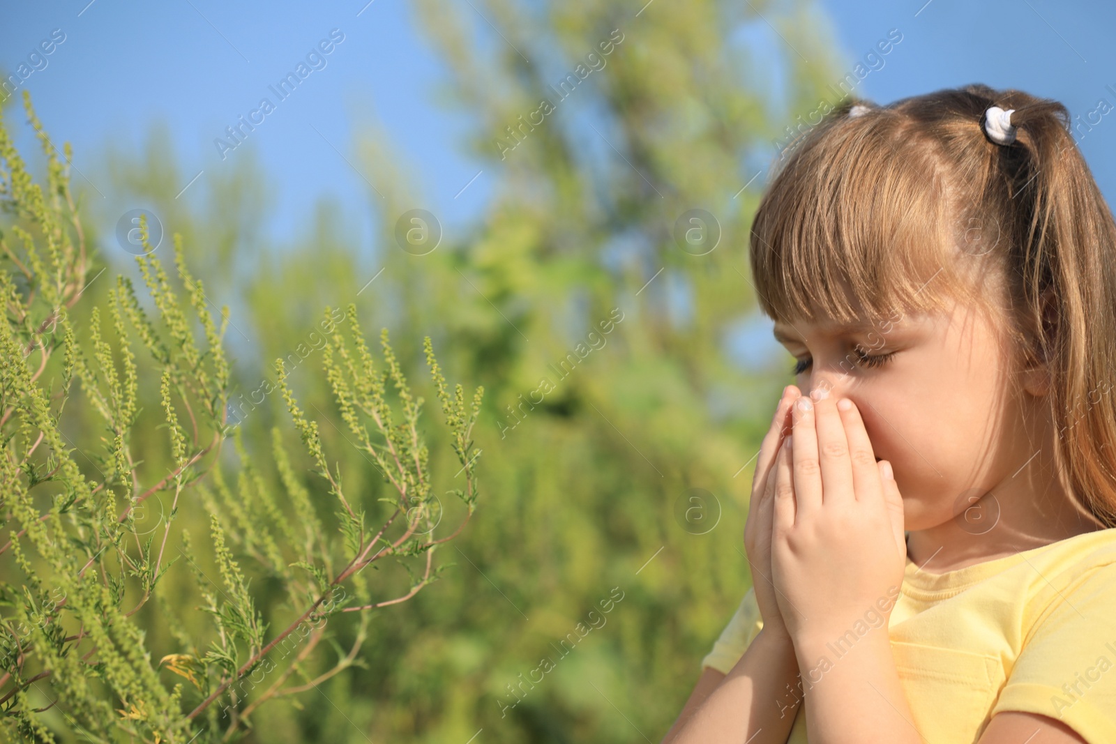 Photo of Little girl suffering from ragweed allergy outdoors