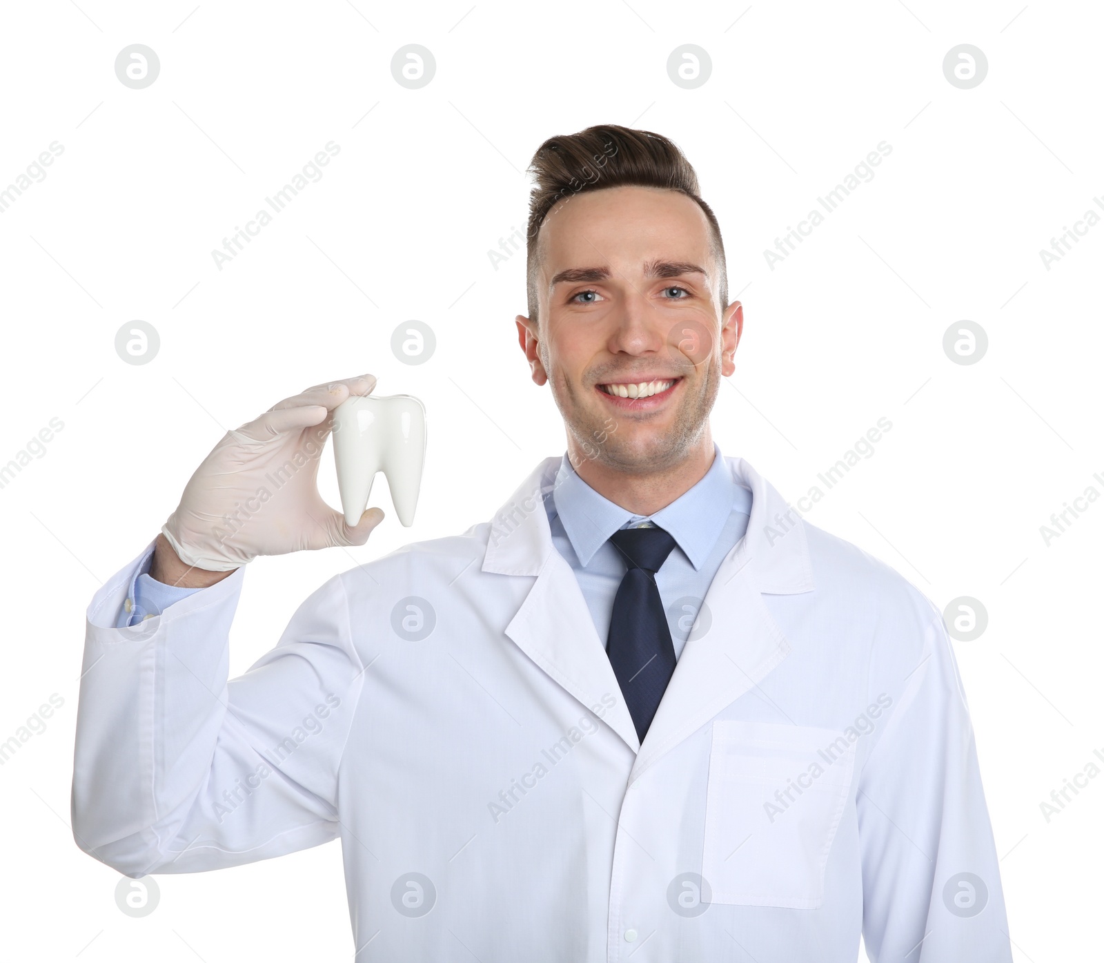 Photo of Male dentist holding tooth model on white background