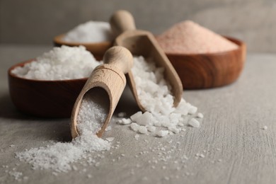 Photo of Different natural salt on grey textured table, closeup. Space for text