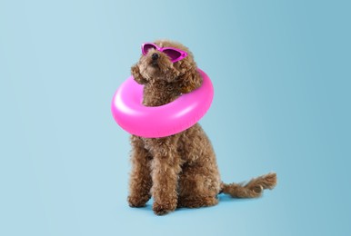 Image of Cute Maltipoo dog with stylish sunglasses and swim ring on light blue background