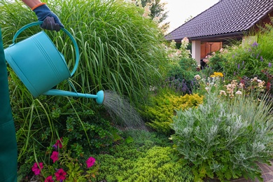 Photo of Worker watering plant at backyard, closeup. Home gardening