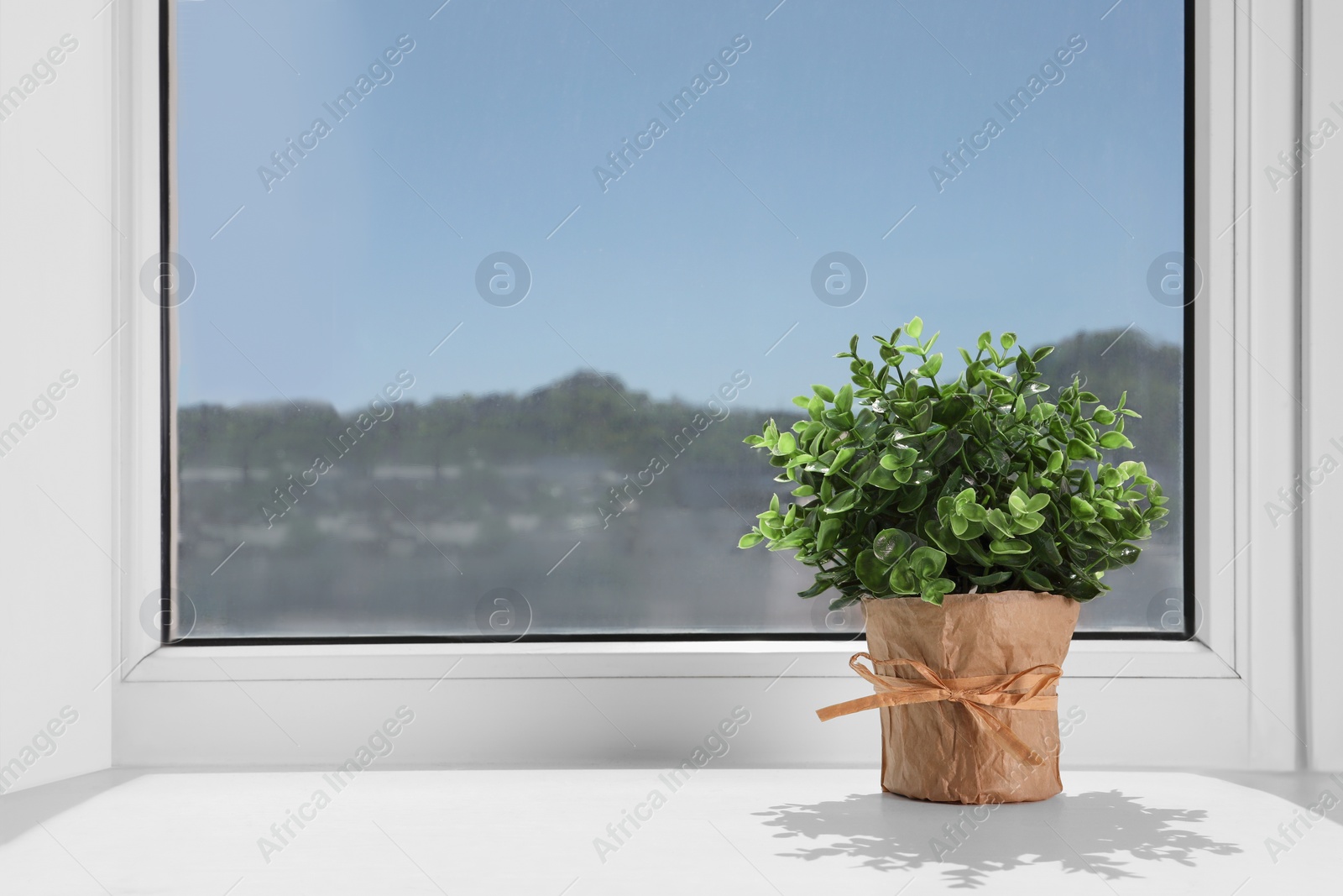 Photo of Artificial potted herb on sunny day on windowsill indoors, space for text. Home decor